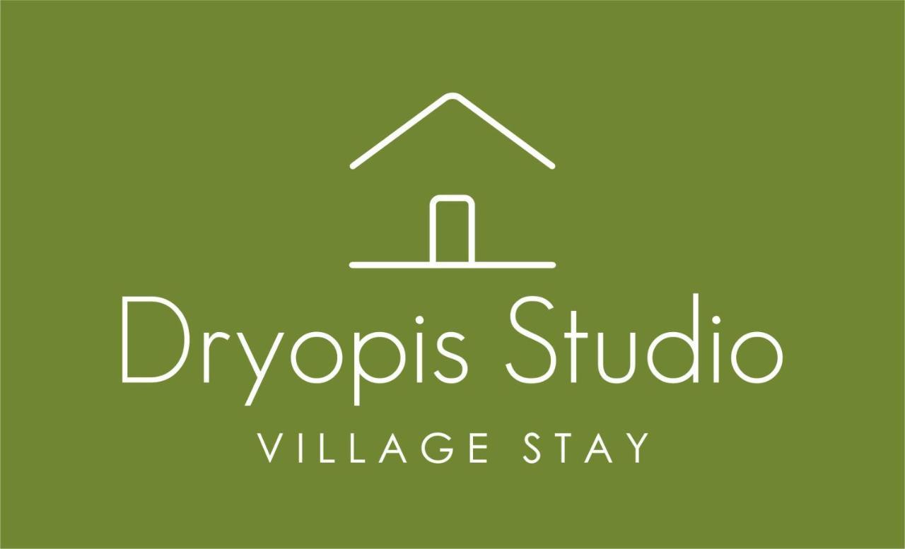 Dryopis Studio Dhriopís 外观 照片
